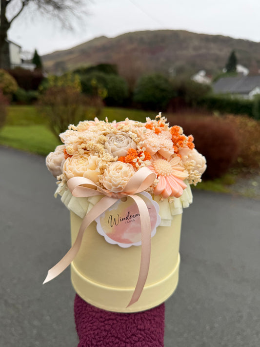 Apricot dream wax melt box