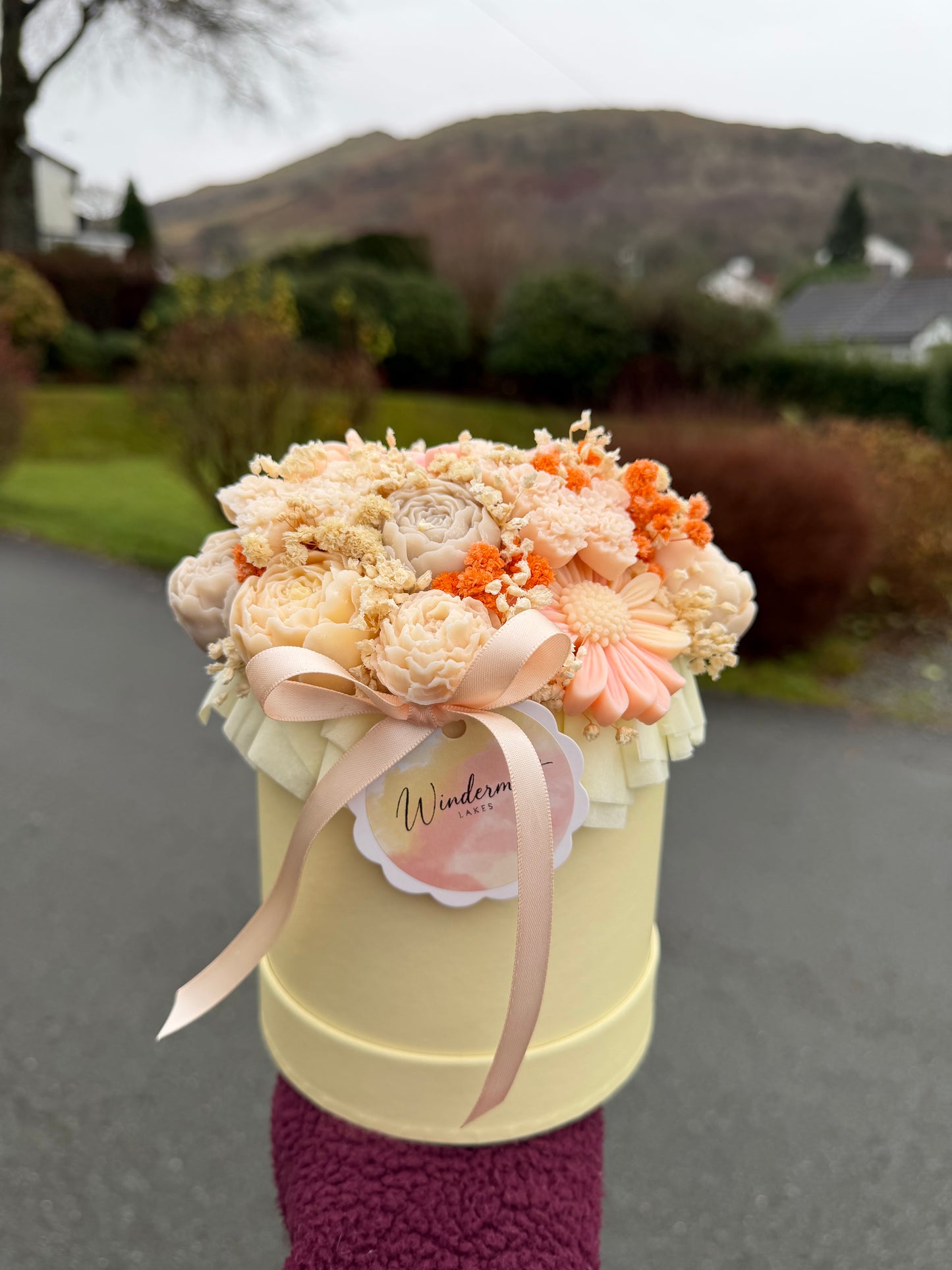 Apricot dream wax melt box